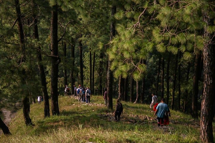 Half-Day Hike to Nagarkot Hills and Waterfalls — Village Trails & Himalayan Views photo 1