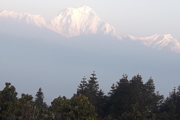 3-Day Poon Hill Trek: Sunrise Annapurna Views with a Female Guide photo 3