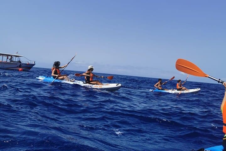 Madeira Island Kayak Experience from Funchal — Coastal Kayak & Snorkel photo 4