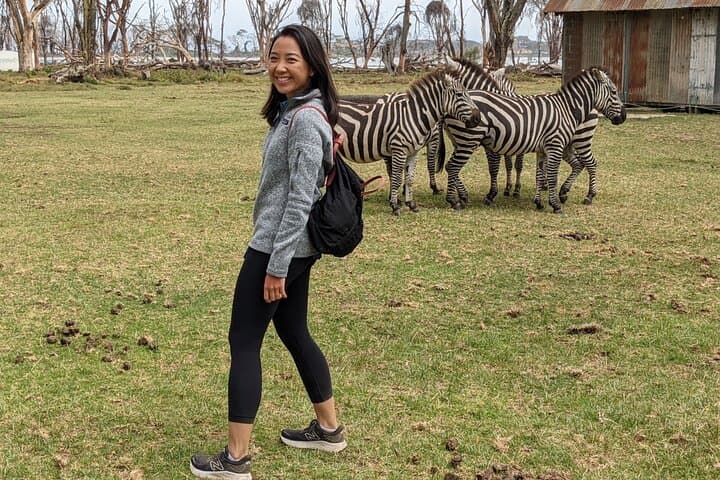 Walking Safari & Lake Naivasha Boat Ride — Up-Close Giraffes, Hippos & Birdlife