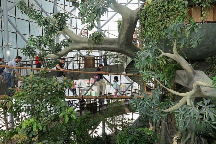 Inside The Green Planet Dubai: Skip-the-Line Indoor Rainforest Experience photo 4