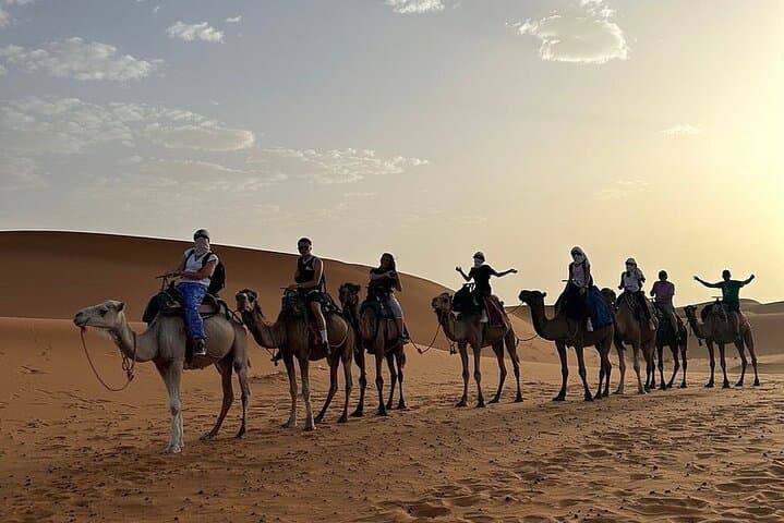 Overnight Camel Trek and Comfort Camp in Erg Chebbi from Erfoud