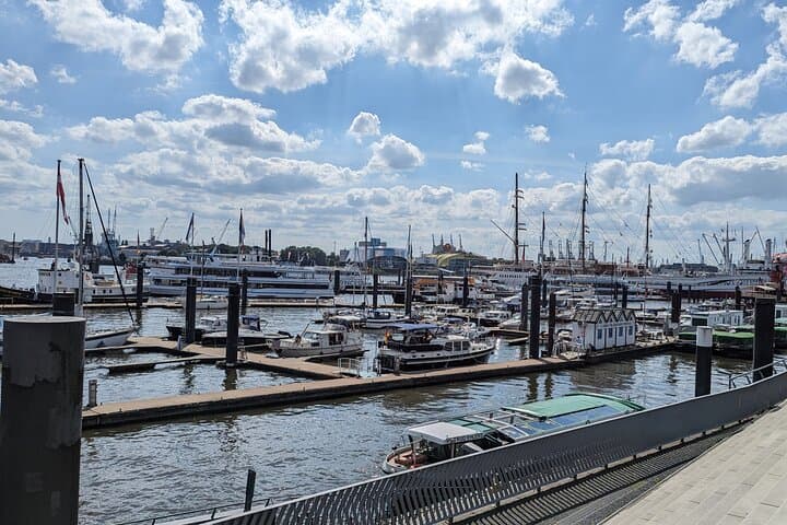 Explore Hamburg in a First-Class Van: Harbor, Speicherstadt & Reeperbahn Tour photo 4
