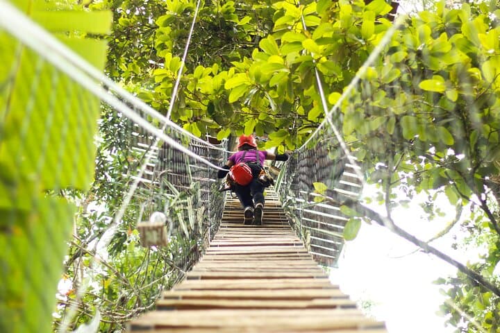 Vertical Multiadventure Park Giant Trees: Tree Climb, Tarzan Swing & 60m Rappel in Limón photo 4