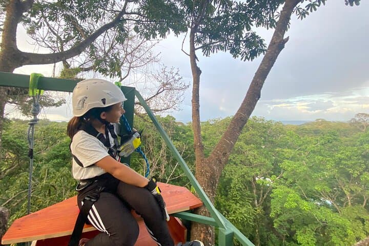 Vertical Multiadventure Park Giant Trees: Tree Climb, Tarzan Swing & 60m Rappel in Limón photo 5