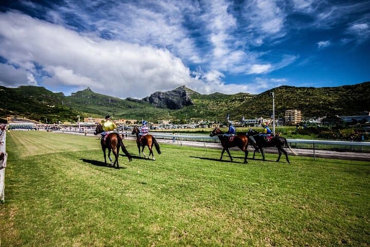 Full-Day Private Car Tour of Northern Mauritius — Port Louis to Pamplemousses photo 3