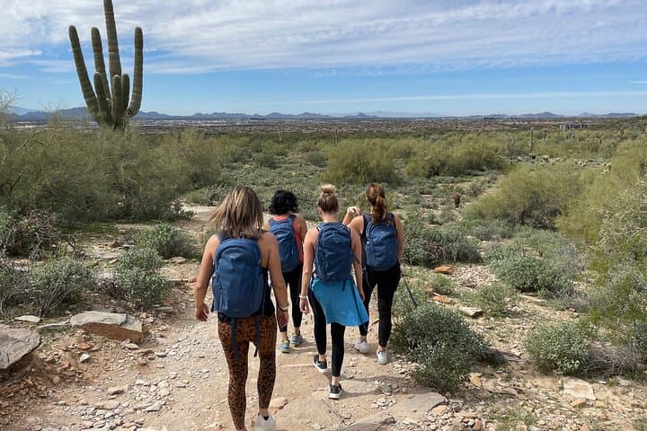 Exploring Scottsdale’s Sonoran Desert: A Private Day Hiking Experience photo 2