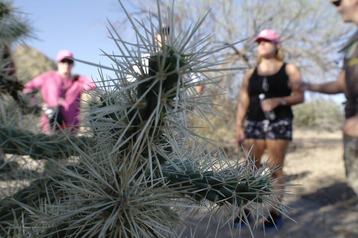 Exploring Scottsdale’s Sonoran Desert: A Private Day Hiking Experience photo 3