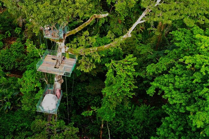 Overnight Tree-Climbing and 60m Rappelling in Costa Rica's Caribbean Canopy