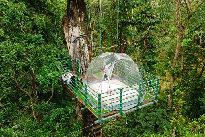 Overnight Tree-Climbing and 60m Rappelling in Costa Rica's Caribbean Canopy photo 2