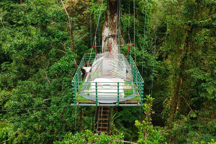 Overnight Tree-Climbing and 60m Rappelling in Costa Rica's Caribbean Canopy photo 3