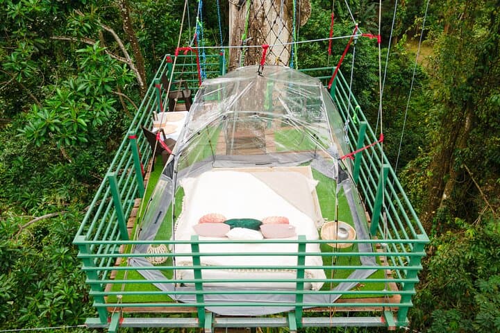 Overnight Tree-Climbing and 60m Rappelling in Costa Rica's Caribbean Canopy photo 4