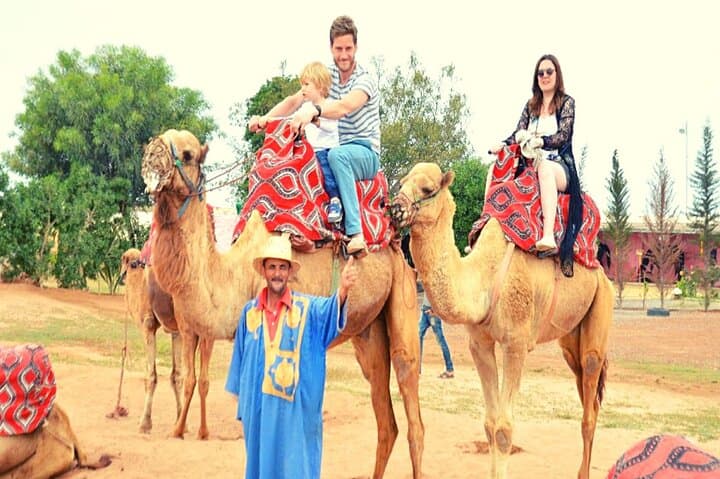 Sunset Camel Ride and Barbecue Dinner in Agadir — Eucalyptus Trails & Souss River Views photo 2