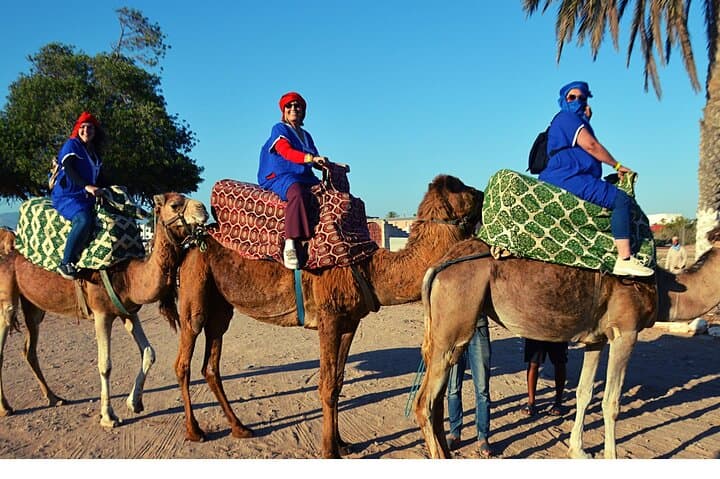 Sunset Camel Ride and Barbecue Dinner in Agadir — Eucalyptus Trails & Souss River Views photo 4