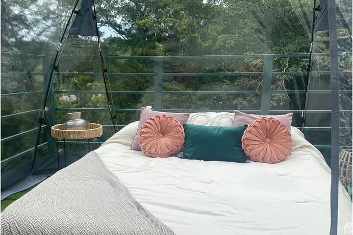 Overnight Tree-Climbing and 60m Rappelling in Costa Rica's Caribbean Canopy photo 5