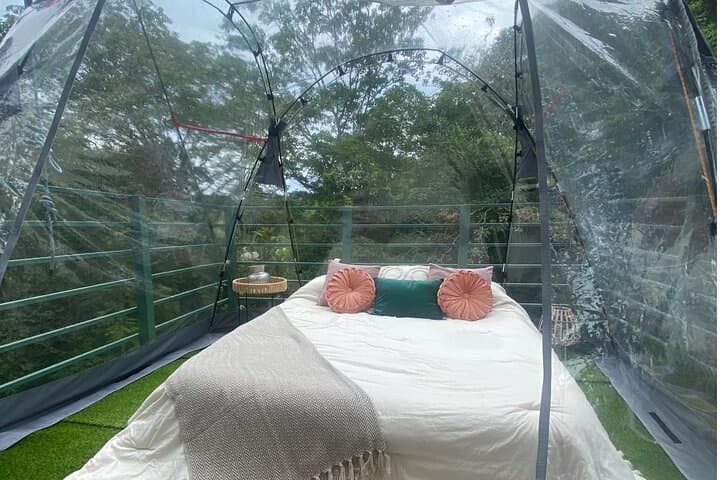 Overnight Tree-Climbing and 60m Rappelling in Costa Rica's Caribbean Canopy photo 6