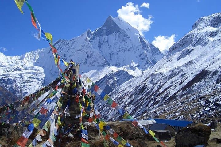11-Day Annapurna Base Camp Trek: Complete Guide to the Annapurna Sanctuary