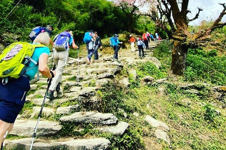 11-Day Annapurna Base Camp Trek: Complete Guide to the Annapurna Sanctuary photo 4