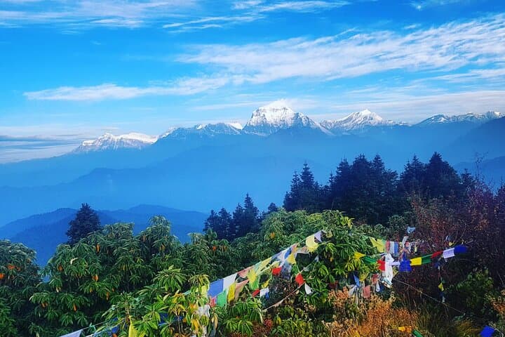 11-Day Annapurna Base Camp Trek: Complete Guide to the Annapurna Sanctuary photo 5