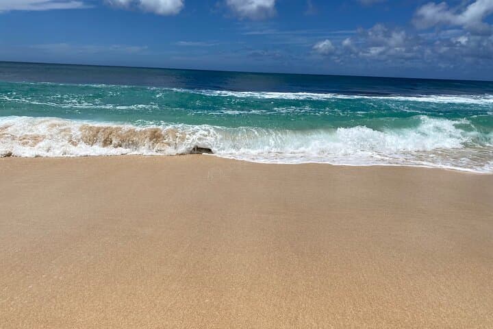 Oahu North Shore and Waikiki Small-Group Island Experience photo 6