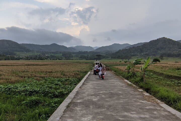 Halong Bay Day Trip & Overnight Cruise: Explore Vietnam's Limestone Islands photo 2