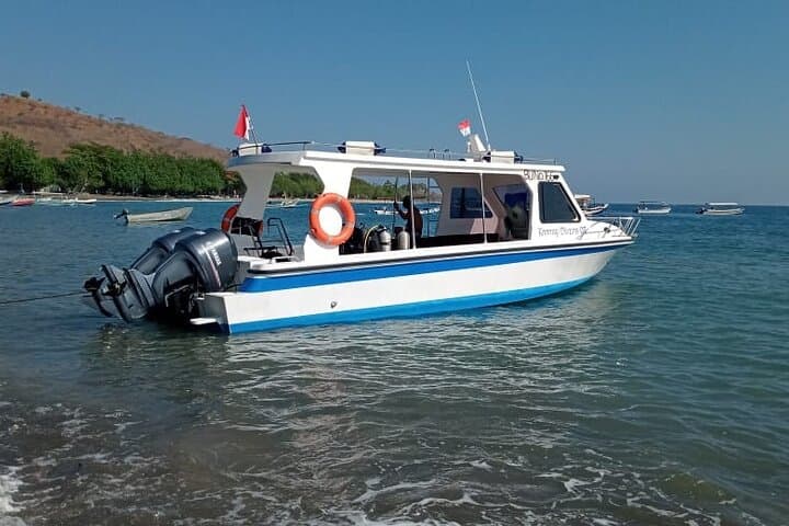 Snorkel Menjangan: Day Trip from Pemuteran to Bali’s Pristine Reefs photo 6