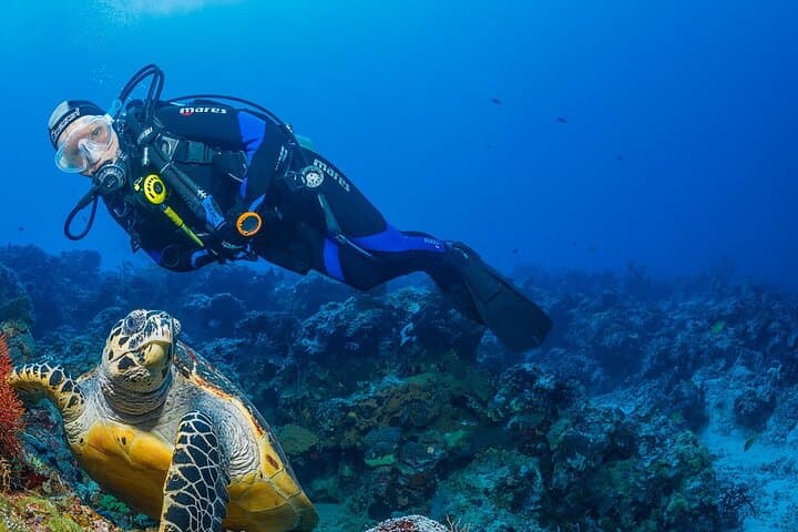 Snorkel Menjangan: Day Trip from Pemuteran to Bali’s Pristine Reefs photo 5