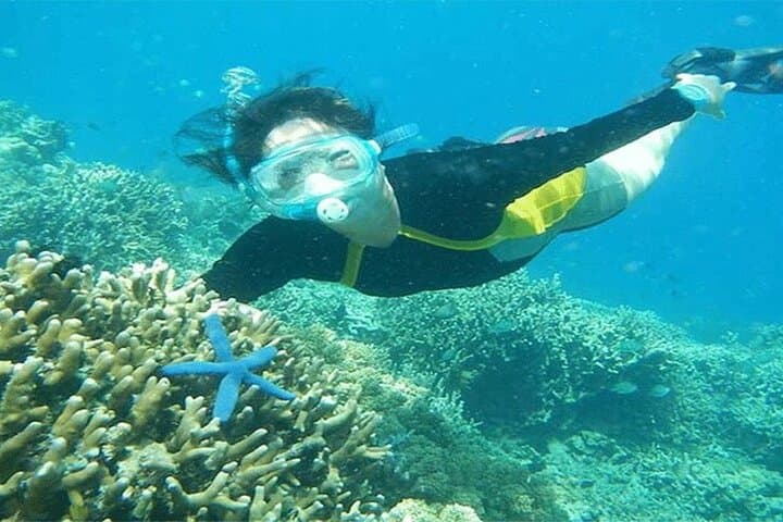 Blue Lagoon Bali Snorkeling: Private Boat to Tanjung Jepun & Bias Tugel photo 6