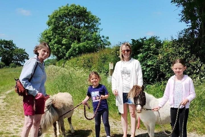 Miniature Horse Walking Near Lincoln — Falabella Grooming & Countryside Strolls
