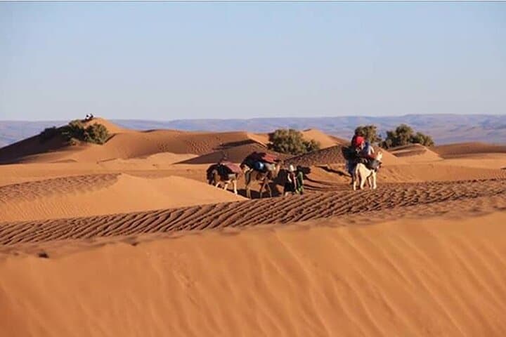 Explore Erg Chigaga: 3-Day Private Zagora to Chigaga Desert Tour photo 2