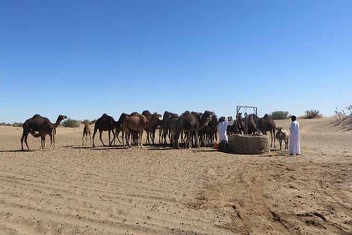 5-Day Private Camel Trek to Chigaga Desert from Zagora photo 4