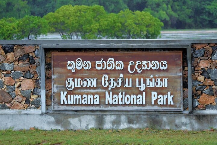 Kumana National Park Safari from Arugam Bay — Jeep Birdwatching & Wildlife Tour photo 2