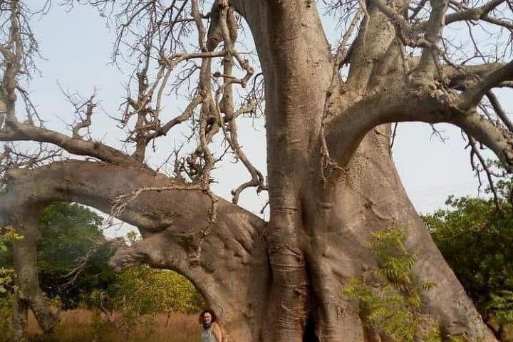 10-Day Cultural Tour of Côte d'Ivoire: Savannas, Rivers & Coastal Traditions photo 4