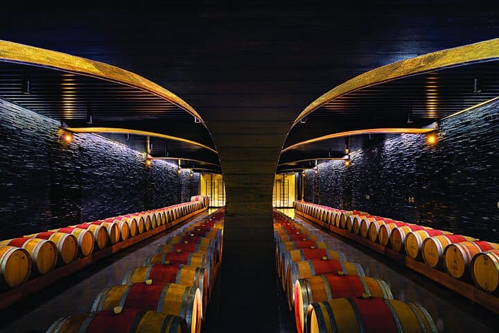 Douro Valley Private Wine Tour: A Scenic Day Among Terraced Vines and Port