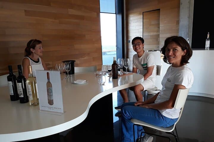 Douro Valley Private Wine Tour: A Scenic Day Among Terraced Vines and Port photo 2