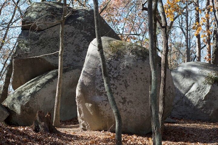 All-Day Private Stranger Things Location Tour in Atlanta — Film Sites & Upside Down Stops photo 2