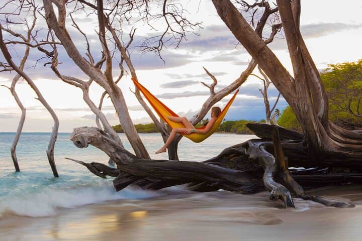 Mindful Meditation and Dharma Talks on Hawaii’s Big Island: A Four-Hour Journey into Nature and Presence photo 4