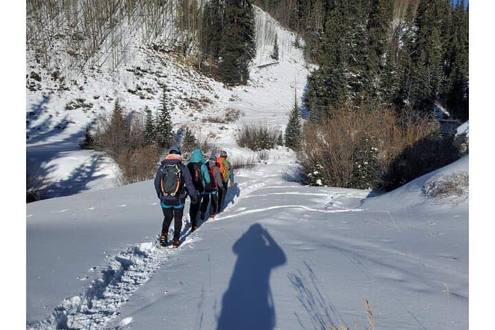 Half-Day Ice Climbing Near Breckenridge: Learn to Climb in Summit County photo 4
