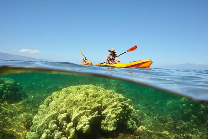 Maui West Shore Kayak and Snorkel — Paddle to Reefs and West Maui Views photo 2