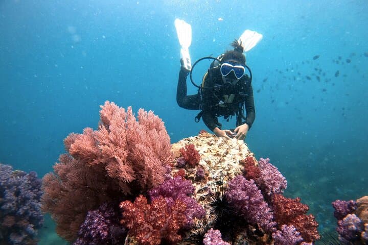 Koh Lipe Two-Dive Adventure: Guided Fun Dives in Tarutao Marine Park photo 2