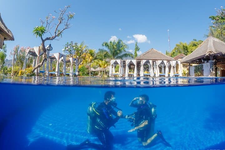 Try Dive Program at Biorock Pemuteran — Intro Scuba on Bali's Restored Reefs photo 3