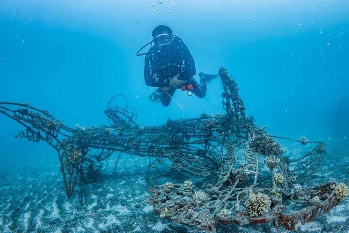 Try Dive Program at Biorock Pemuteran — Intro Scuba on Bali's Restored Reefs photo 5