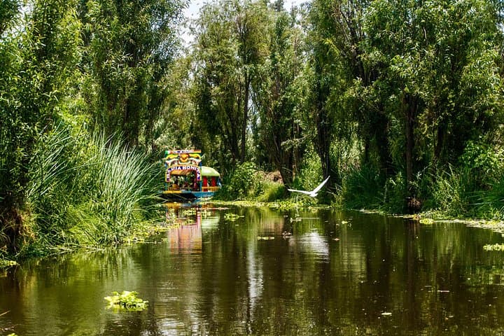 Xochimilco Canals: Trajinera Cruise with Mezcal, Food & Axolotl Visit photo 2