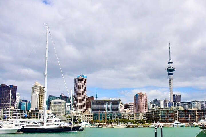 Private Auckland Day Tour: Piha Beach, Rainforest & City Highlights photo 5