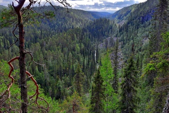 Korouoma Canyon Hike and BBQ from Rovaniemi — Guided Day Hike in Lapland photo 3