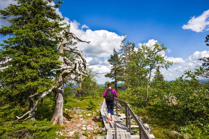 Korouoma Canyon Hike and BBQ from Rovaniemi — Guided Day Hike in Lapland