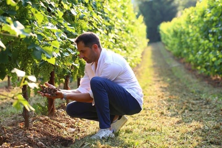 Prosecco Superiore DOCG Vineyard Walk and Tasting near Valdobbiadene photo 3