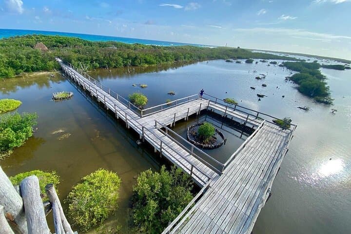 Jeep Tour to Punta Sur & San Gervasio — Cozumel Lighthouse, Lagoons and Reefs photo 2