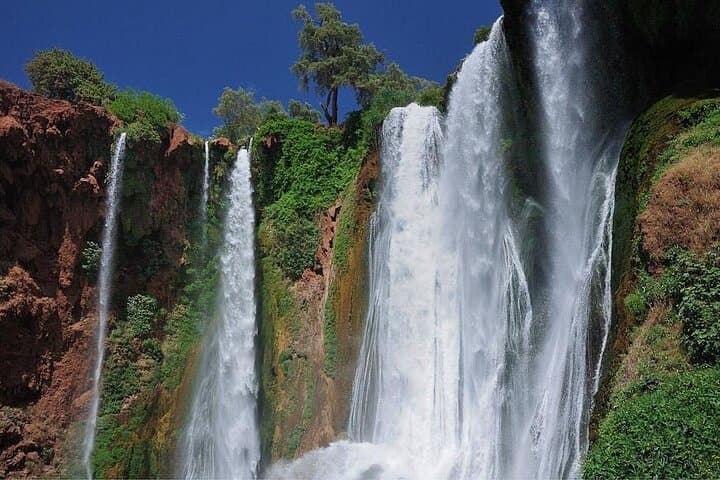 Day trip to Ouzoud Waterfalls from Marrakech — Hike, Boat Ride & Berber Lunch photo 3