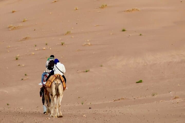 Zagora Desert 2-Day Trip from Marrakech: Camel Ride, Ait Ben Haddou & Berber Camp photo 4